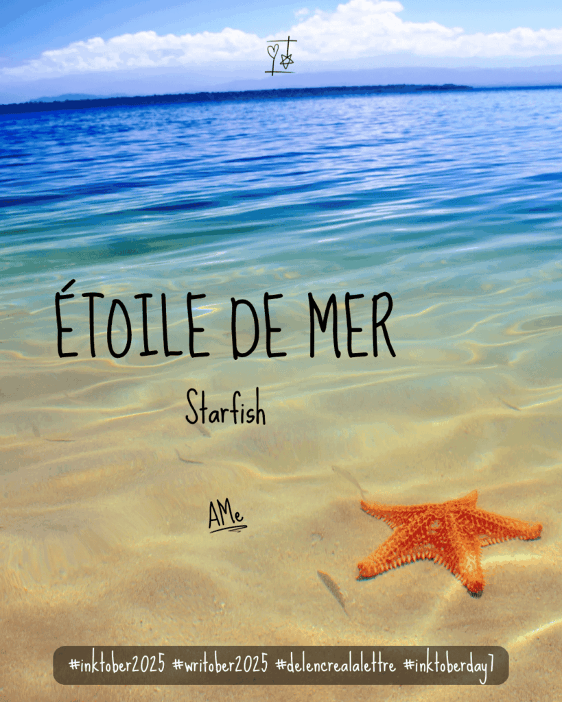 Inktober 2025 - défi d'écriture De l'encre à la lettre - Mot J7 - ÉTOILE DE MER - Starfish